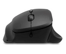 Mouse Para Maos Grandes Philips Preto M444